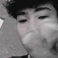nemo_official_2k6
