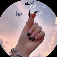 user351831669