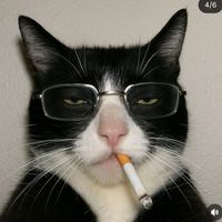 suara asli - olimpus
