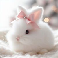 bunni.grapes_