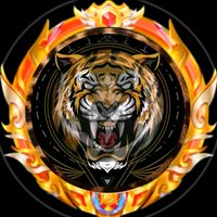 indiantiger205