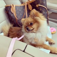 lilgigiwave