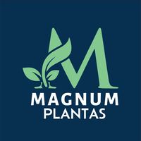 magnumplantas
