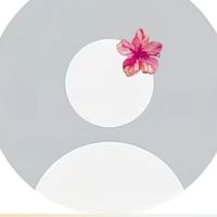 original sound - ZYL