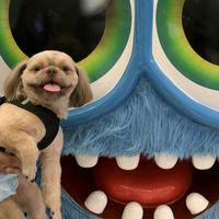 original sound - Gio Boy