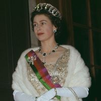elenestorx