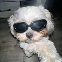 original sound - 𓄧