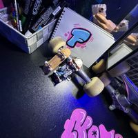 rui.588
