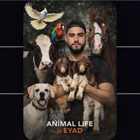 _animallife_