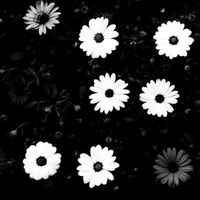 オリジナル楽曲 - ユミ