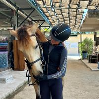 .vane.eq