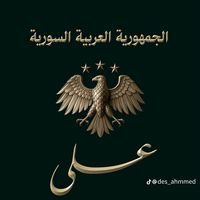 aloshmhdizaed06