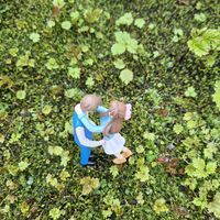 오리지널 사운드 - moss-holicer