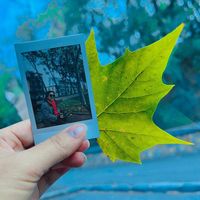 original sound - Sun Faith