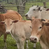 original sound - aiyjor6969