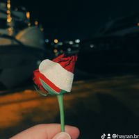 _userdad