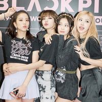 bpblinkeu_