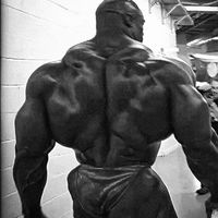 gym_aesthetlc