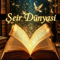 orijinal ses