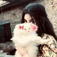 shixo_afridi_1