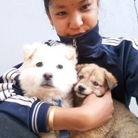 ms.nisasomai.1