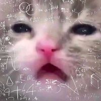 suara asli