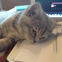 nhạc nền - Ở đây có mẫu capcut xinh ᥫᩣ