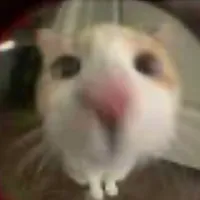 original sound - danceaudiossss