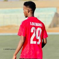 apdimalik_10