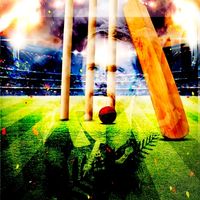 the_cricket920
