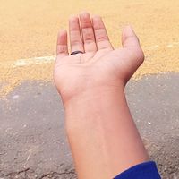 saju_hani