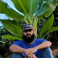 original sound - ramalho586