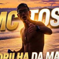 mctoshi3