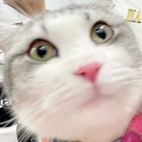 candyreviews