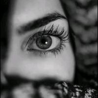noura.fofo666