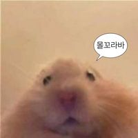 도망가지마