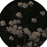 original sound - _vedalardanbirbuket0