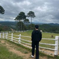original sound - MASH•MR Official