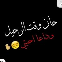 use.r98m4619267434