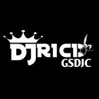 suara asli - DJ RICI GSDJC