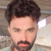 parveez.ali.34