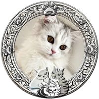 オリジナル楽曲 - I'mキャットマン🐈