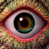 original sound - goodabundance