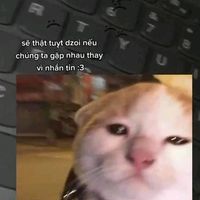 一路生花 _ Nhất lộ sinh hoa