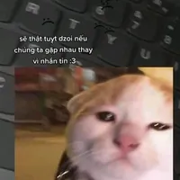 刚好遇见你 _ Gặp em đúng lúc