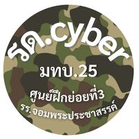 cybersurin