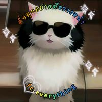 fc.everything