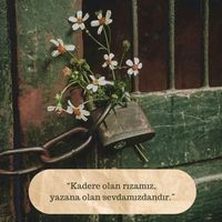 orijinal ses