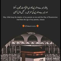 sadiaadil45