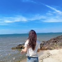 nhạc nền - Trúc Thơ 25.11🐒